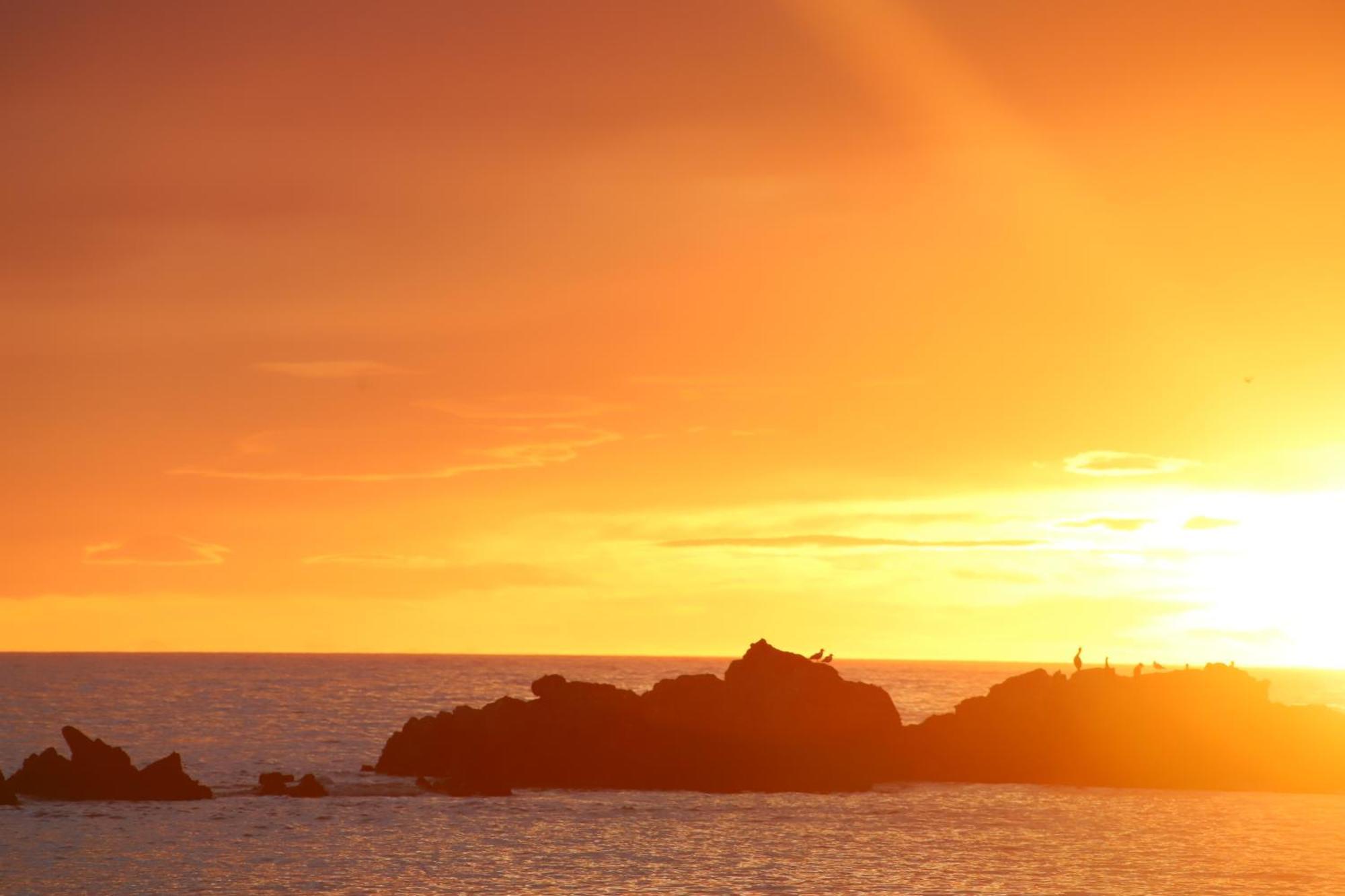 Sierra Beachfront Motel Kaikoura Dış mekan fotoğraf