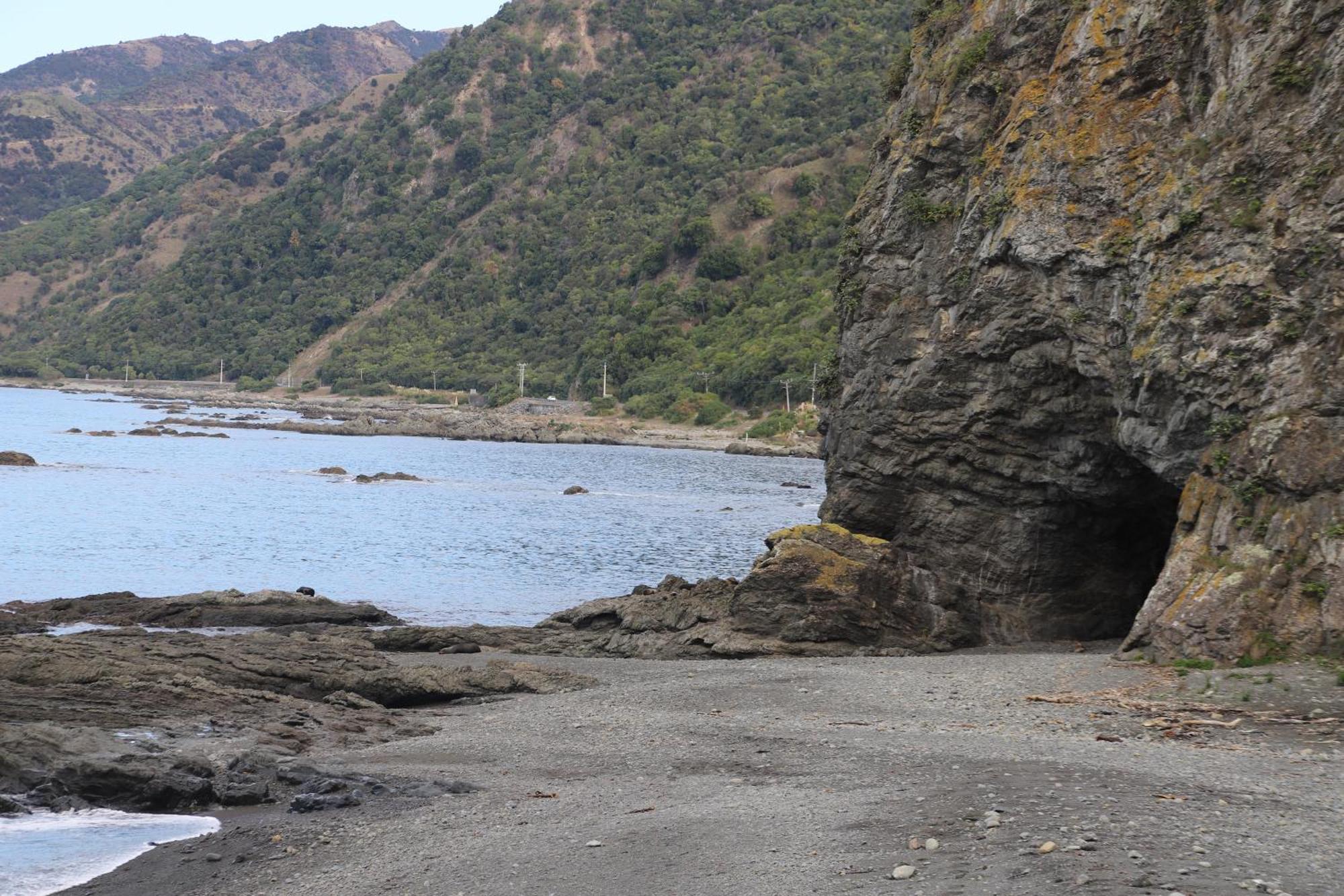 Sierra Beachfront Motel Kaikoura Dış mekan fotoğraf