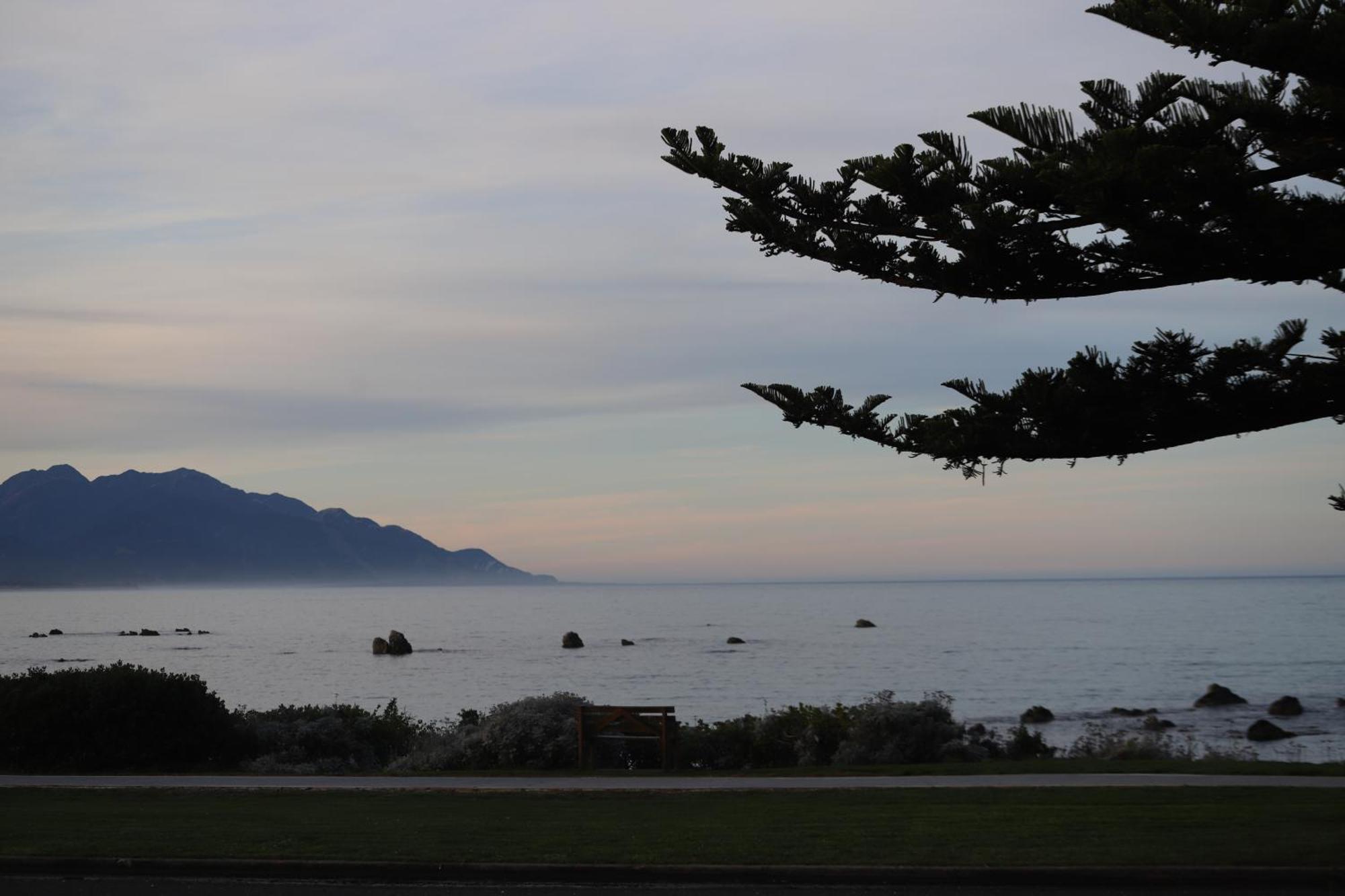 Sierra Beachfront Motel Kaikoura Dış mekan fotoğraf